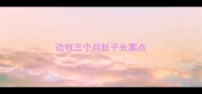 边牧三个月肚子长黑点