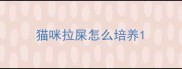 猫咪拉屎怎么培养