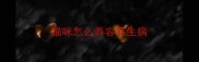 猫咪怎么养容易生病