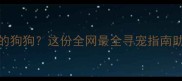 如何找回走失15天的狗狗这份全网最全寻宠指南助你成功率提升80