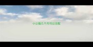 小公猫几个月可以交配