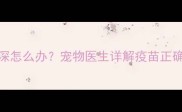 狗狗疫苗注射扎针太深怎么办宠物医生详解疫苗正确操作及应急处理指南