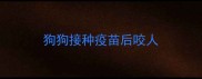 狗狗接种疫苗后咬人