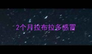 2个月拉布拉多感冒