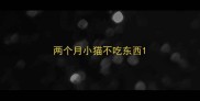 两个月小猫不吃东西