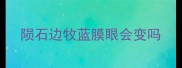 陨石边牧蓝膜眼会变吗