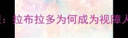 导盲犬训练全流程拉布拉多为何成为视障人士的第二双眼睛