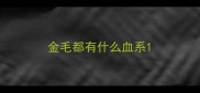 金毛都有什么血系