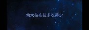 幼犬拉布拉多吃得少