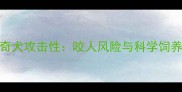 哈士奇犬攻击性咬人风险与科学饲养指南