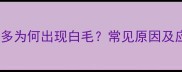 纯黑拉布拉多为何出现白毛常见原因及应对措施全