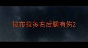 拉布拉多右后腿有伤