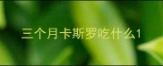 三个月卡斯罗吃什么