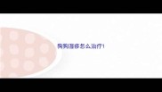 狗狗湿疹怎么治疗