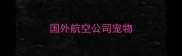 国外航空公司宠物