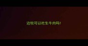 边牧可以吃生牛肉吗