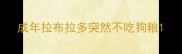 成年拉布拉多突然不吃狗粮