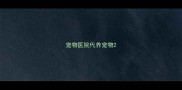 宠物医院代养宠物
