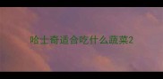 哈士奇适合吃什么蔬菜