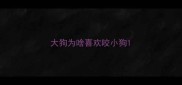 大狗为啥喜欢咬小狗