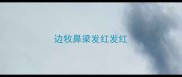 边牧鼻梁发红发红
