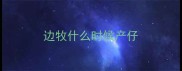 边牧什么时候产仔