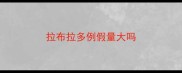拉布拉多例假量大吗