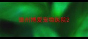 德州博爱宠物医院