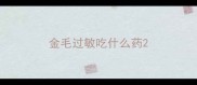 金毛过敏吃什么药