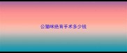 公猫咪绝育手术多少钱