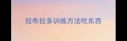 拉布拉多训练方法吃东西