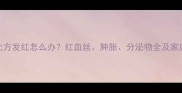猫咪眼睛上方发红怎么办红血丝肿胀分泌物全及家庭护理指南