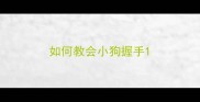如何教会小狗握手