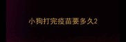 小狗打完疫苗要多久