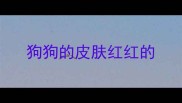狗狗的皮肤红红的