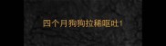 四个月狗狗拉稀呕吐