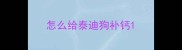 怎么给泰迪狗补钙