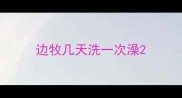 边牧几天洗一次澡