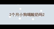 2个月小狗喝酸奶吗
