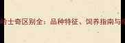 雪橇犬和哈士奇区别全品种特征饲养指南与常见误区