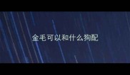 金毛可以和什么狗配