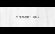 怎样教边牧上厕所