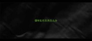 猫咪乱吃东西怎么办