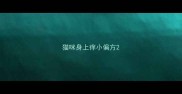 猫咪身上痒小偏方