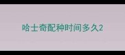 哈士奇配种时间多久