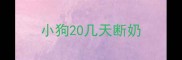 小狗20几天断奶