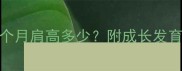 金毛犬6个月肩高多少附成长发育全指南