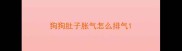 狗狗肚子胀气怎么排气
