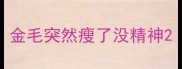 金毛突然瘦了没精神