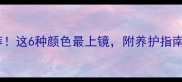 拉布拉多犬颜色推荐这6种颜色最上镜附养护指南附购买价目表